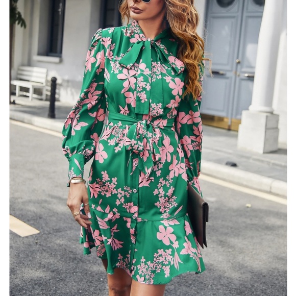 Rouge! Dresses & Skirts - Floral Print Green Pink Mini Dress Long Sleeve Ruffle Tie Neck Belted